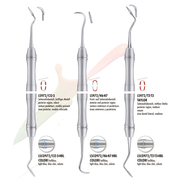 RASPADOR TAYLOR 972/T2-T3 