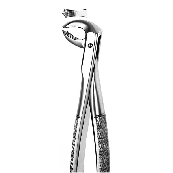 M73 FORCEPS PREMOLAR INF