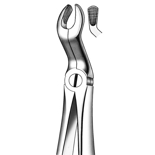 M2067A FORCEPS RAICES