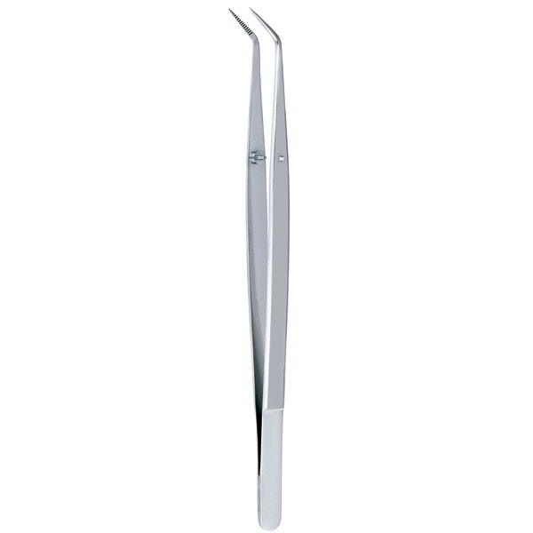 PINZA COLLEGE 772DP/2 