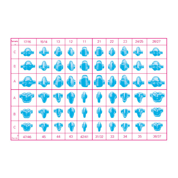 PREFORMA INDIVIDUAL 25uds 11C 