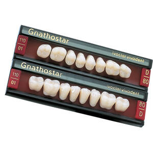 GNATHOSTAR CHR POST INF 12-DIENTES 