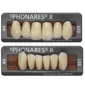 PHONARES II SUPERIORES 19-DIENTES 