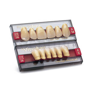 SR-VIVODENT CHROMASCOP ANTERIORES SUPERIORES 01-DIENTES 