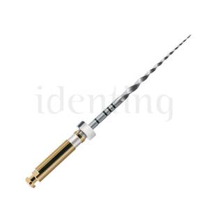 LIMAS PROTAPER S2 31mm. 6u. (A0410-2)