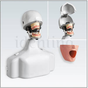 PK2TSE simulador completo c/torso p/sillones dentales