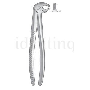 FORCEPS BONTEMPI canino premolar