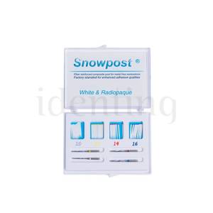 SNOW POST KIT SURTIDO