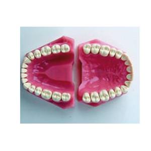 SERIE 32 DIENTES DE RECAMBIO CONSERV.