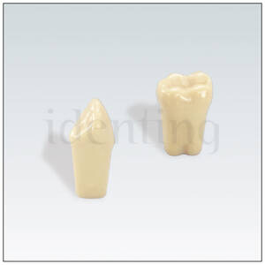 A3ZE010 nº 17 dientes 10 ud