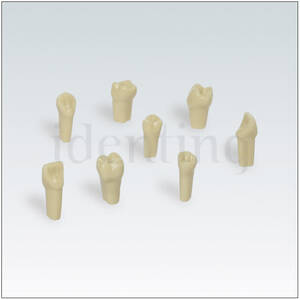 AEZKE Nº22 diente individual plastico p/modelo de extraccion