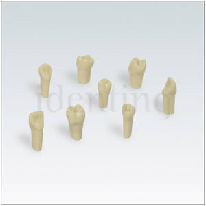 AEZKE Nº28 diente individual plastico p/modelo de extraccion