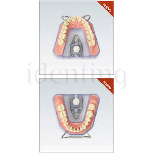 MODELO RADIOGRAFÍA ARESET placas. estracto encía 28 dientes